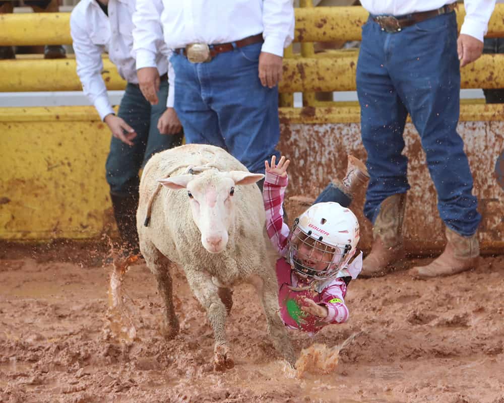 Mutton Busting Adds Fun to Rodeo twisTED Rodeo