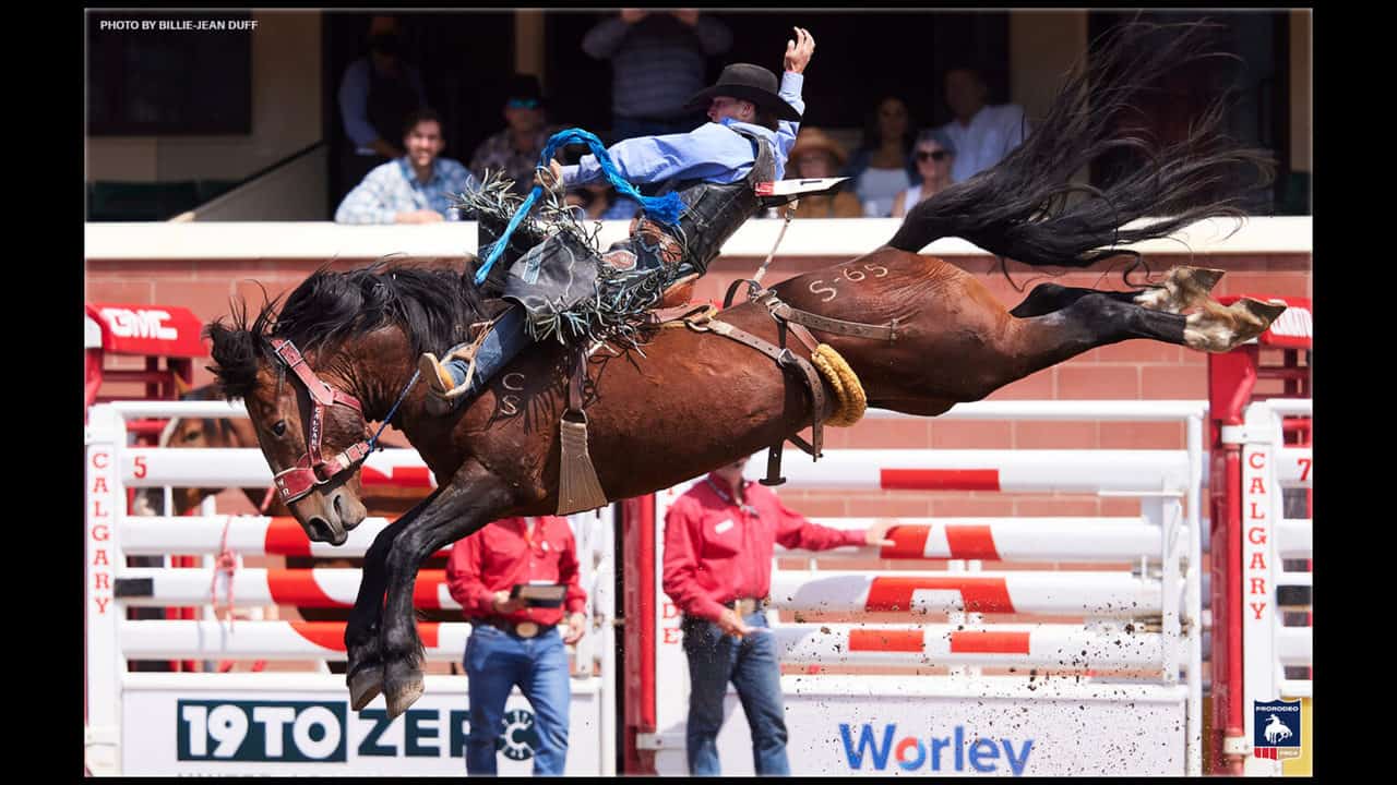 PRCA Standings Shuffle Career Week Leads Thomson into the Saddle Bronc