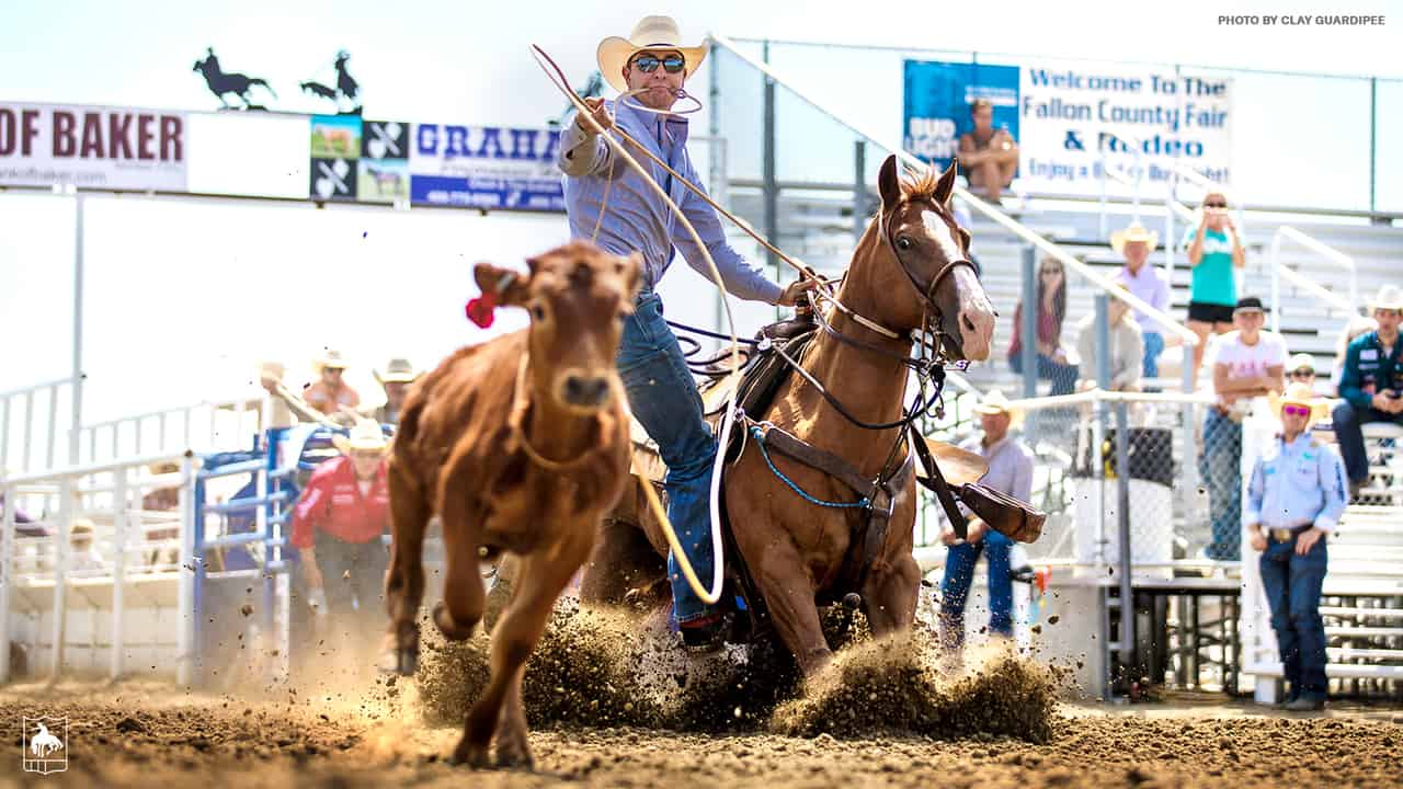 PRCA Weekly Recap Luke Potter Ends 2021 Season on High Note News