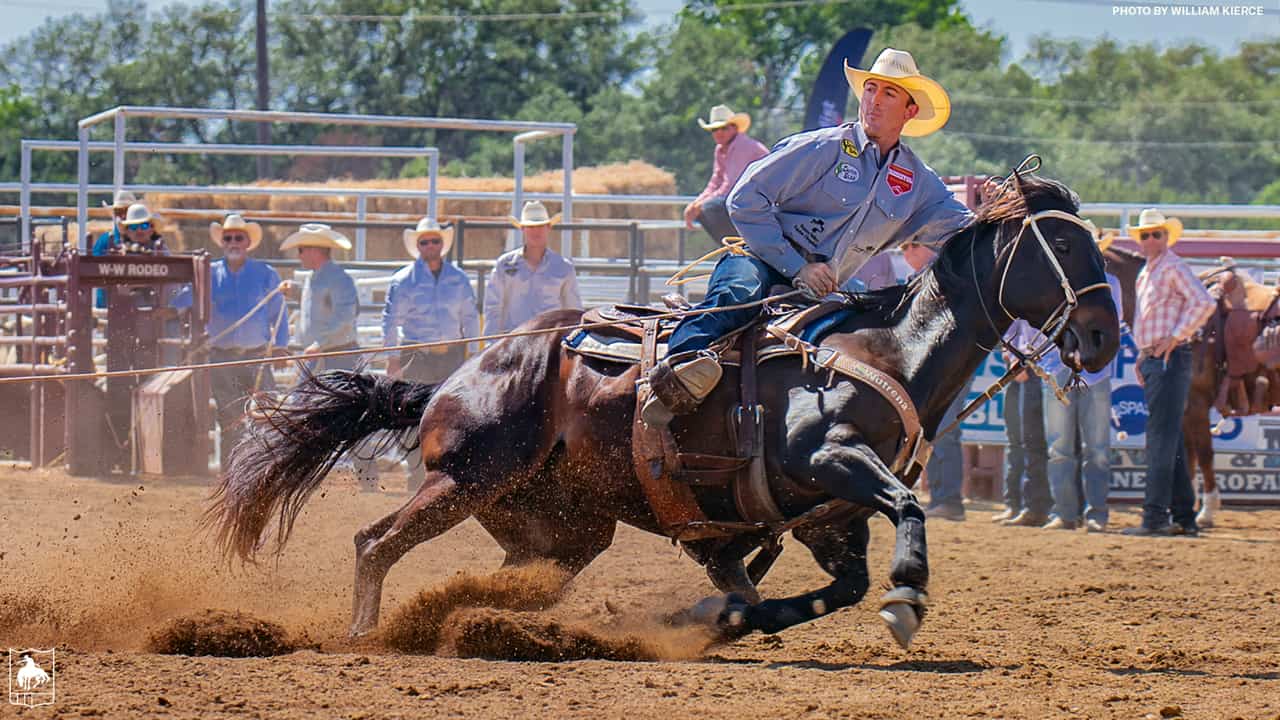 PRCA Weekly Recap Taylor Santos Nails Down Top Steer Roping Run News