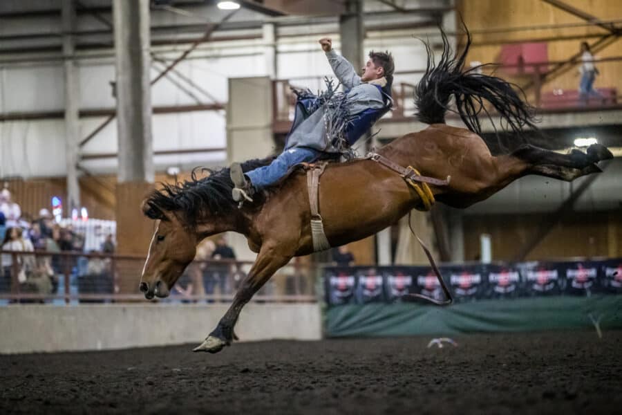Rodeo Central St. Paul Rodeo