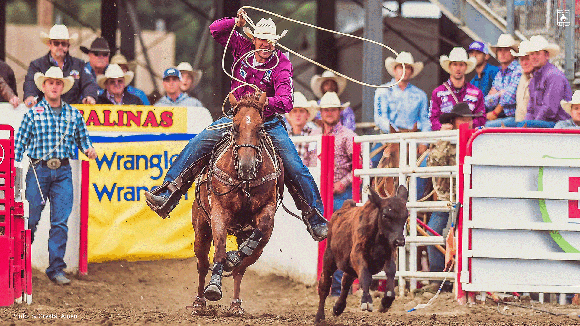 Ropers Looking to Snag Big Bucks - News