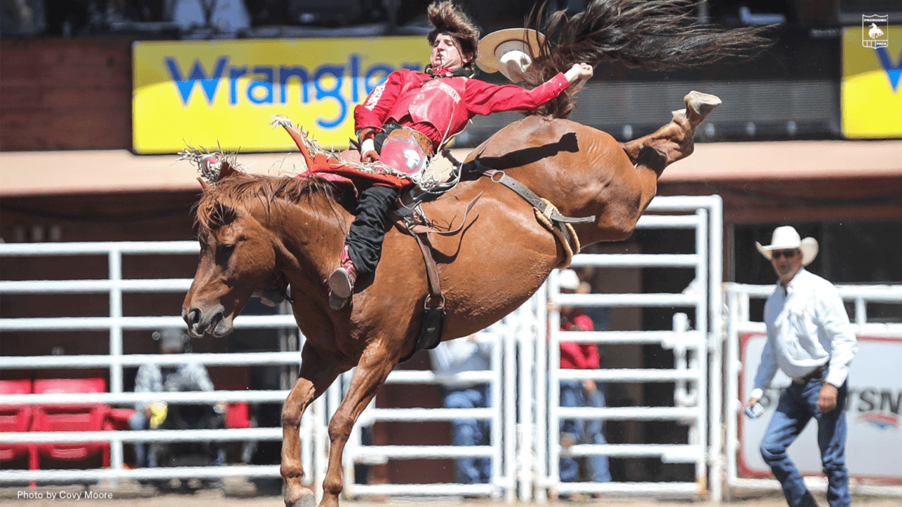 Rookie Star Rocker Steiner Shines at Calgary Stampede - News