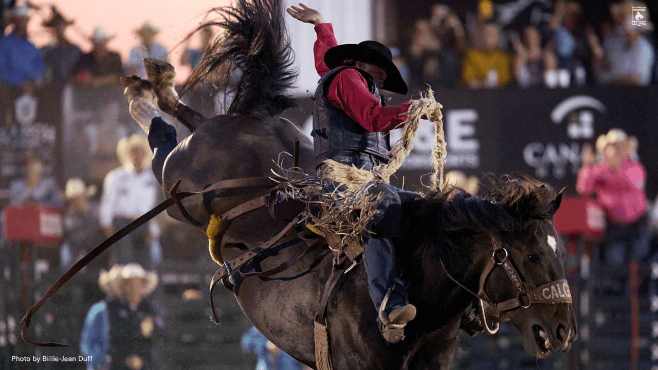 Saddle Bronc Rider Logan Hay Registers WorldRecord 95.5Point Ride in