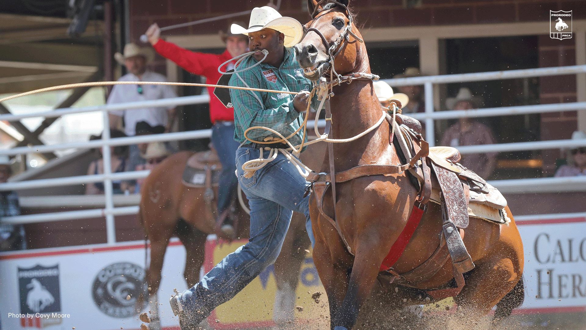 Tie Down Roper John Douch Wins Wildcard Round At Calgary Stampede News