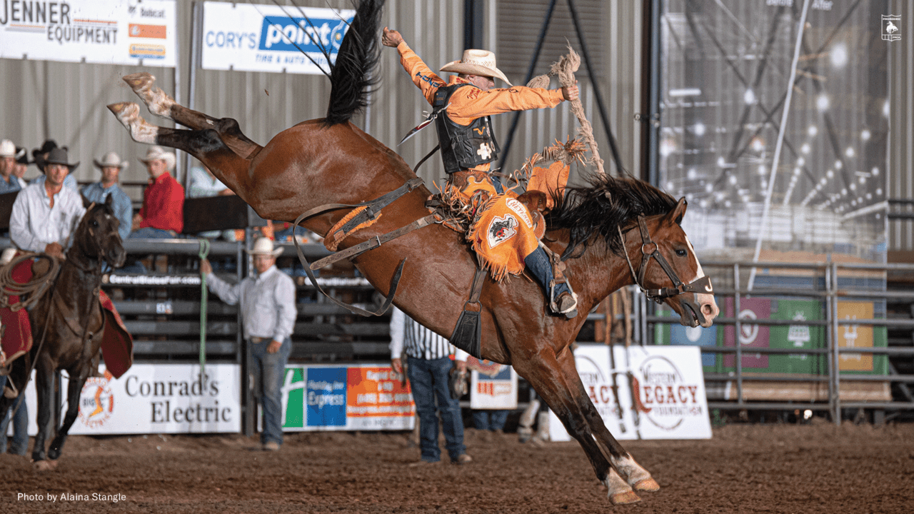 Brody Cress Wins Xtreme Broncs Finals in Rapid City (S.D.) News