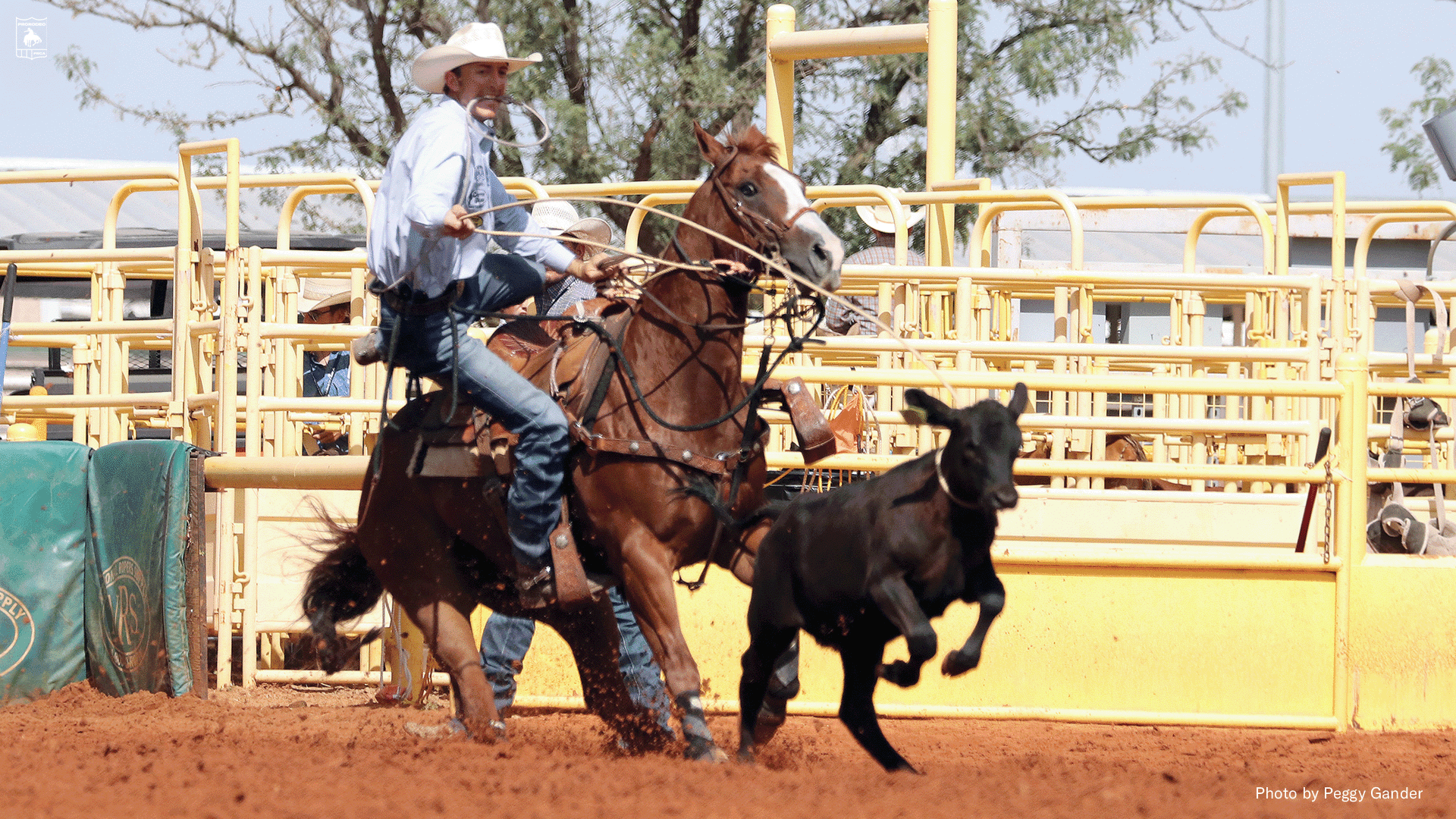 Taylor Santos Shines in Lovington News