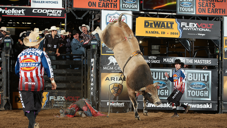 World Champion B U L L Of 2009 PBR Bull Week: Celebrating the Sport’s Three-Time World Champion Bulls