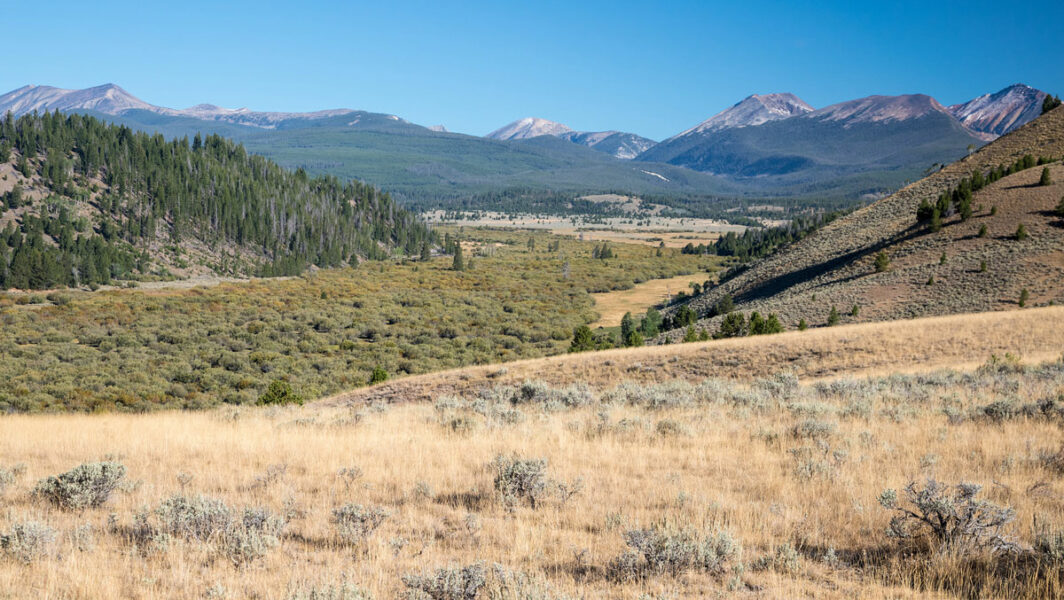 Big Hole Valley Habitat Conserved in Montana News
