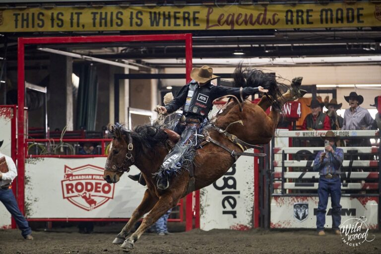 2022 Pro Rodeo Canada Champions Crowned News