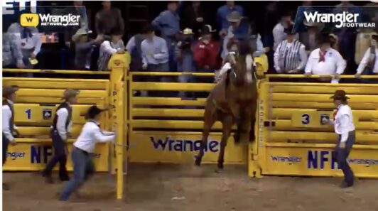 sage-newman-wins-on-rubels-with-89-points-wrangler-network