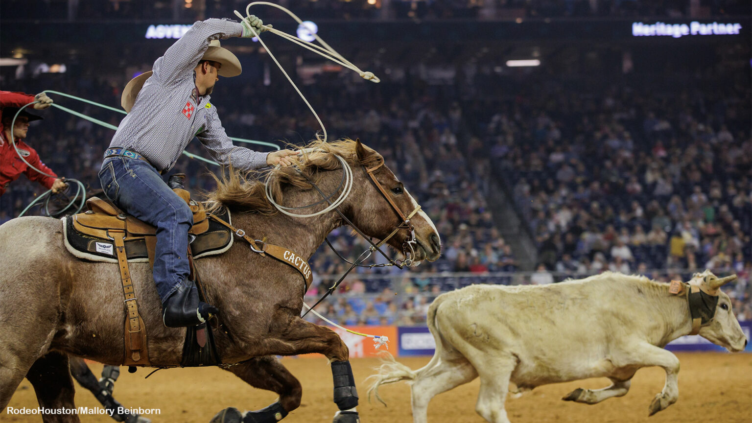 Team Roping Heeler Jake Long Continues to Rope and Succeed with Broken