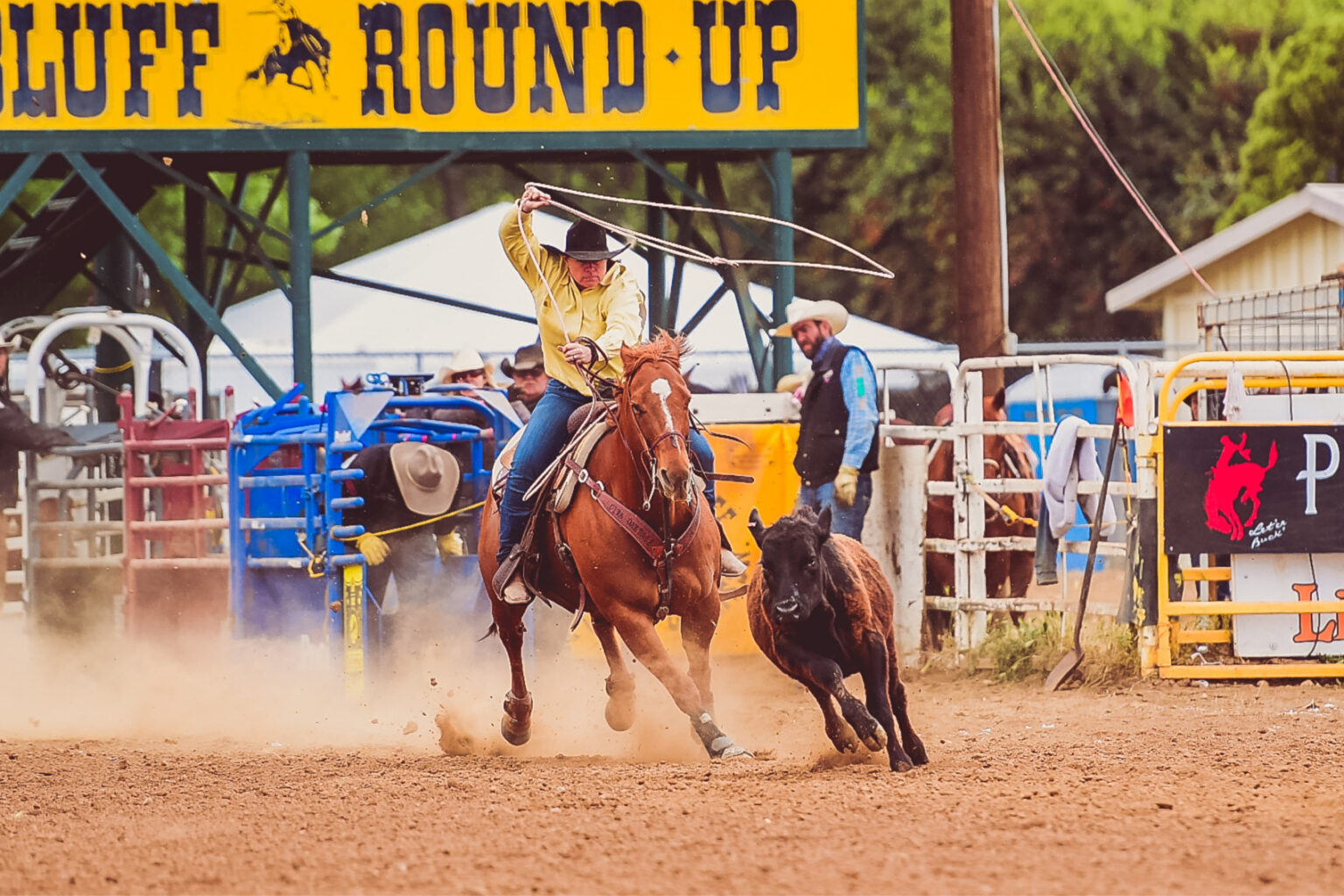 RoundUp, Rodeo and Ranching