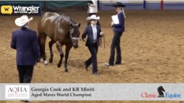 2023 AQHYA World Championship Show Gold Globe Report | Friday July 28