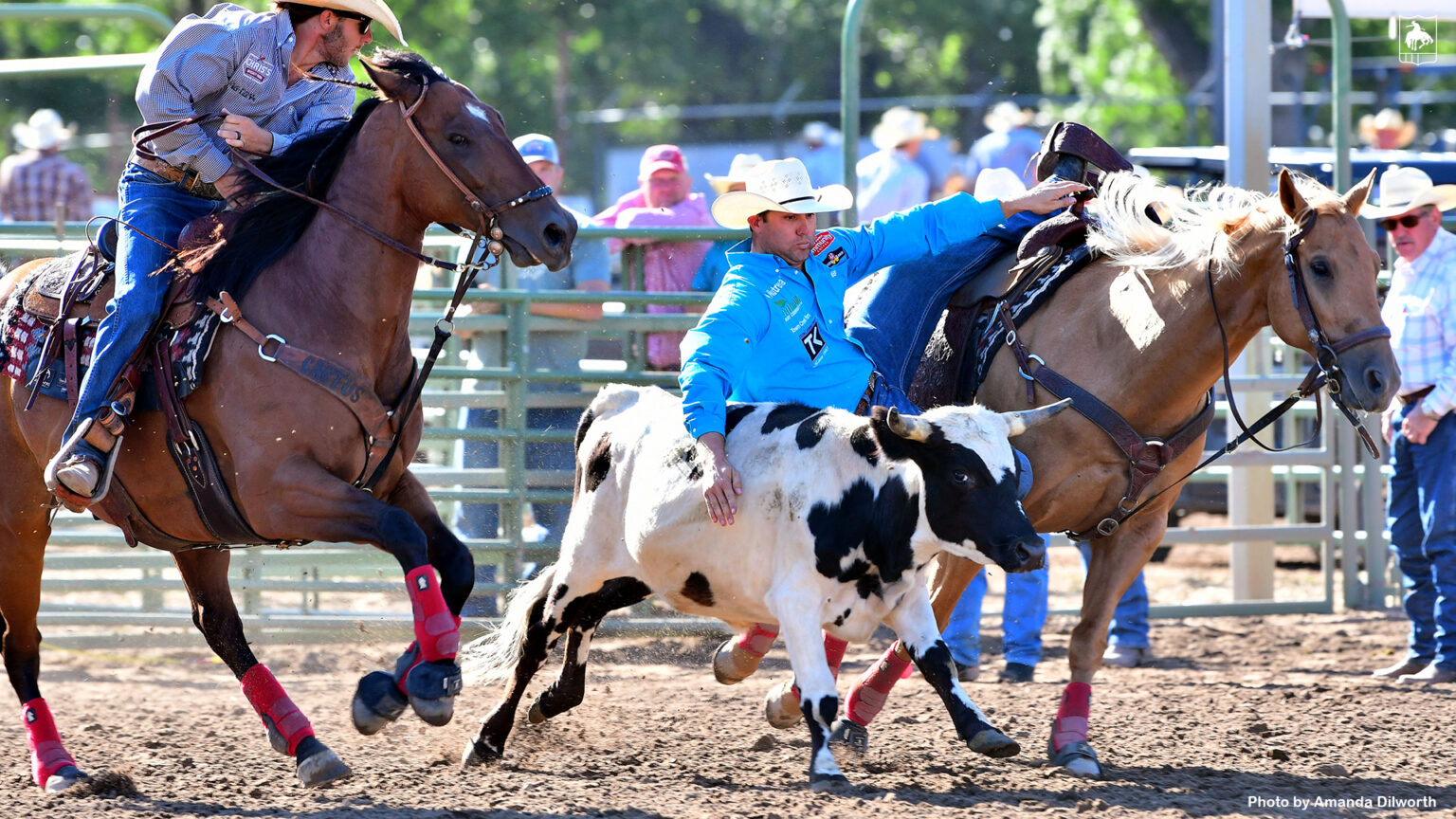 Tyler Waguespack Finds Success at Ogden Pioneer Days Rodeo News