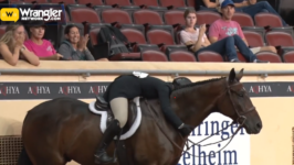 2023 AQHYA World Championship Show Gold Globe Report | Monday July 31