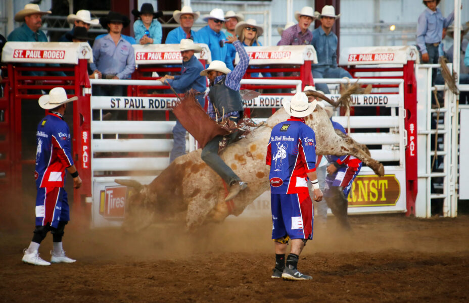 From Concrete Jungle to Rodeo News