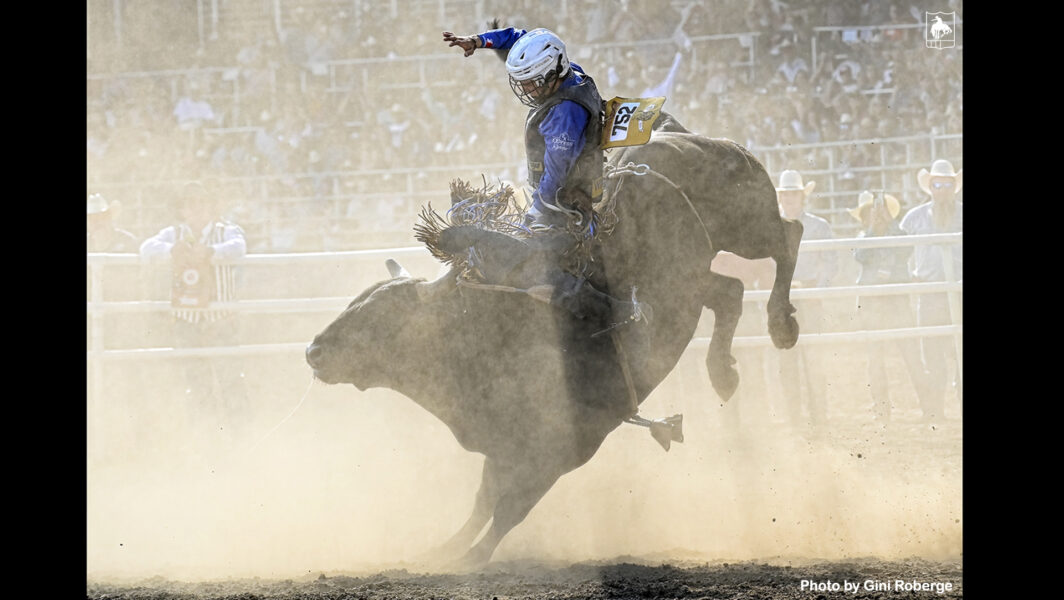 Cool Bull Riding Wallpaper